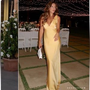 NEW NEVER WORN Meshki Dress (Nadia Dress)